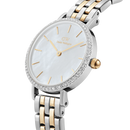 Daniel Wellington Petite Lumine Ladies Watch Two-Tone DW00100665