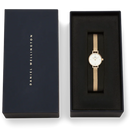 Daniel Wellington Petite Mini Evergold Ladies Watch Rose Gold DW00100745