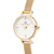 Daniel Wellington Petite Mini Evergold Ladies Watch Rose Gold DW00100745