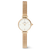 Daniel Wellington Petite Mini Evergold Ladies Watch Rose Gold DW00100745