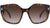 Fendi Ladies Sunglasses Havana / Brown Gradient FE40017I 55F