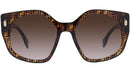 Fendi Ladies Sunglasses Havana / Brown Gradient FE40017I 55F