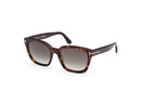 Tom Ford Hayley Women Havana Sunglasses FT1216 52B Tom Ford