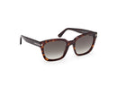 Tom Ford Hayley Women Havana Sunglasses FT1216 52B Tom Ford