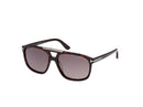 Tom Ford Brianna-02 Unisex Havana Sunglasses FT1338 52K Tom Ford