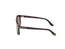 Tom Ford Brianna-02 Unisex Havana Sunglasses FT1338 52K Tom Ford