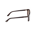 Tom Ford Brianna-02 Unisex Havana Sunglasses FT1338 52K Tom Ford