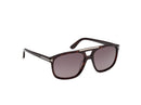 Tom Ford Brianna-02 Unisex Havana Sunglasses FT1338 52K Tom Ford