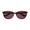 Gucci Emblem Ladies Sunglasses Havana Violet GG1818SK-002 Gucci