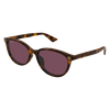Gucci Emblem Ladies Sunglasses Havana Violet GG1818SK-002 Gucci