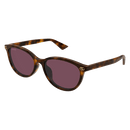 Gucci Emblem Ladies Sunglasses Havana Violet GG1818SK-002