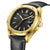 Rotary Apex100 Men's Watch Black Leather Gold GS05578/04