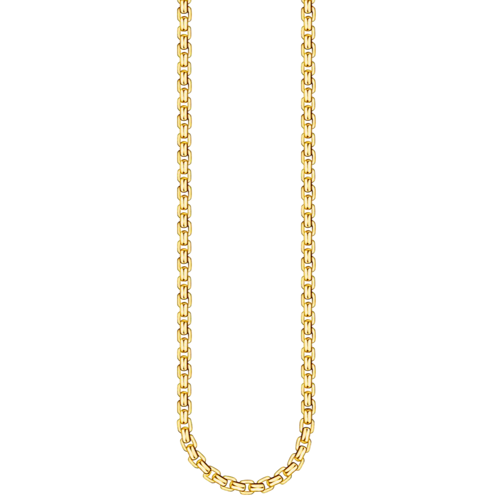 Thomas Sabo Venezia Necklace Gold KE1108-413-39 53 CM