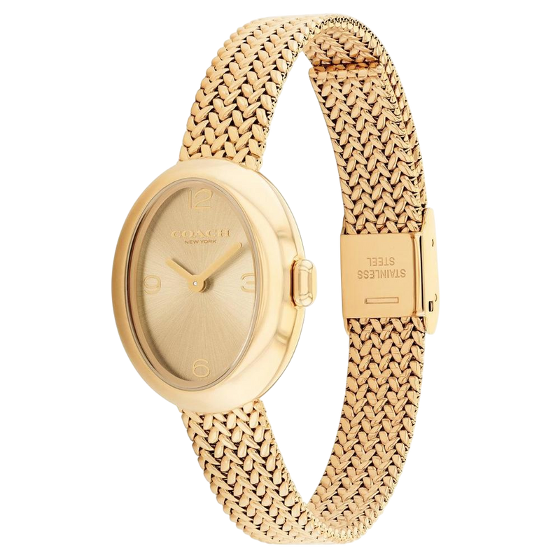 Coach Sammy Ladies Gold Mesh Watch 14504567