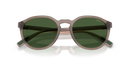 Polo Ralph Lauren Sunglasses Transparent Brown PH4232U 631371 Polo Ralph Lauren