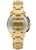 Maserati Successo Solar Men's Watch Gold / Black Chronograph R8873645002