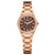 Rotary Brilliance Ladies Watch Chocolate RLB10020/16