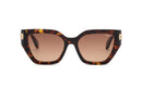 Chopard High Jewellery Ladies Havana Sunglasses SCH418S 0909 Chopard