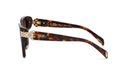 Chopard High Jewellery Ladies Havana Sunglasses SCH418S 0909 Chopard