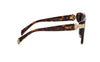 Chopard High Jewellery Ladies Havana Sunglasses SCH418S 0909 Chopard