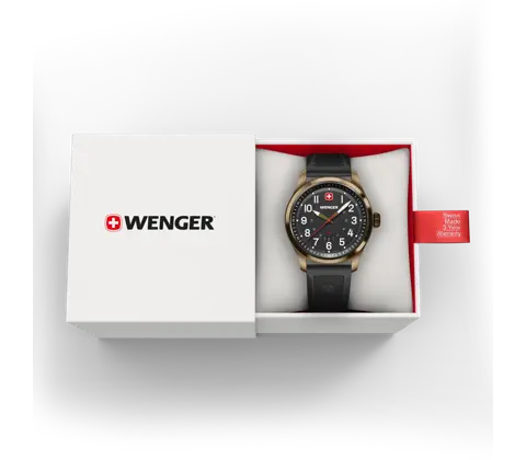Wenger Terragraph Men's Watch Black Bronze 01.0541.125