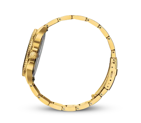 Wenger Executive Men's Watch Gold Black Dial 01.2031.107