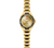 Wenger Executive Men's Watch Gold 01.2031.108