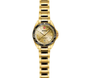 Wenger Executive Men's Watch Gold 01.2031.108