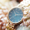 Citizen Silhouette Ladies Gold Green Eco-Drive Watch EM0993-82Z Citizen