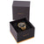 GANT Park Hill Day-Date II Men's Watch Gold Black GTG121013