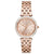 Michael Kors Mini Darci Ladies Rose Gold Watch MK3366 - WatchStatus Ltd