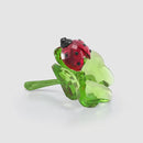 Swarovski Idyllia Ladybug and Clover Figurine 5666852