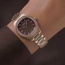 Rotary Brilliance Ladies Watch Chocolate RLB10020/16