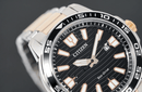 Citizen Eco-Drive Watch Men's Two Tone AW1524-84E - WatchStatus Ltd