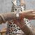 Ava Ladies Silver Stainless Steel White Dial Watch